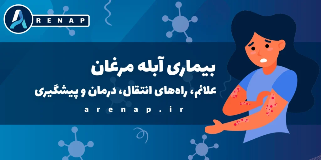 راه‌های انتقال آبله مرغان شامل تماس مستقیم و تنفس