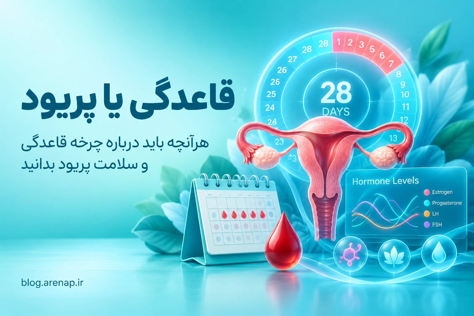 تامنیل جامع راهنمای چرخه قاعدگی و پریود و سلامت زنان - آرناپ