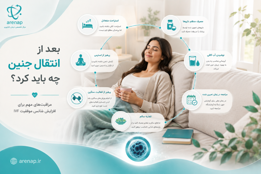بعد از انتتقال جنین چه باید کرد