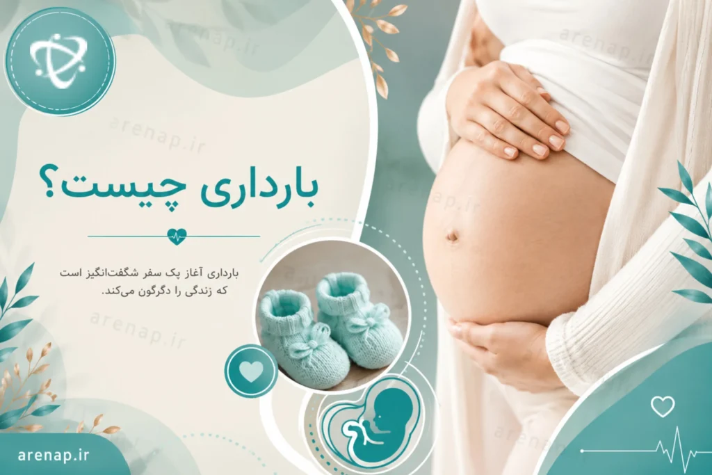 بارداری چیست؟