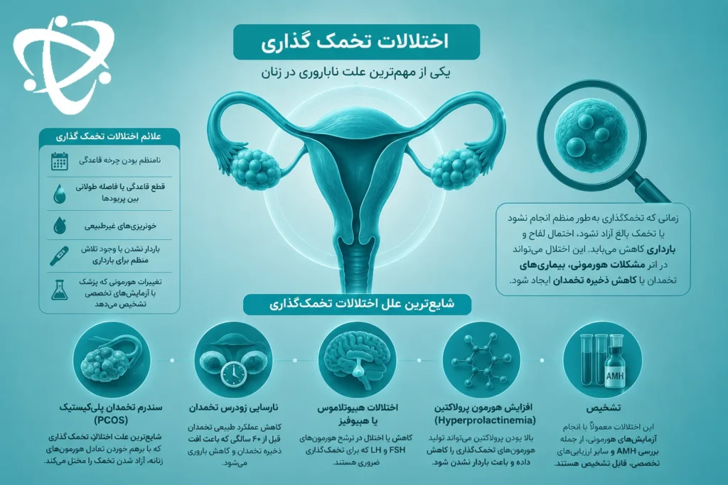 اختلالات تخمک‌گذاری و علت ناباروری در زنان با آزمایش AMH و بررسی هورمونی