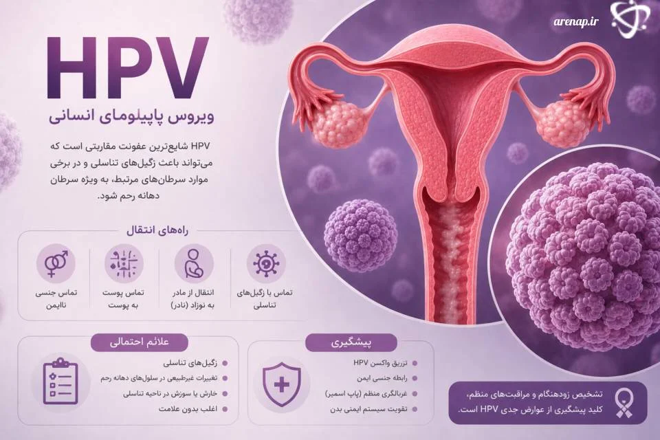 HPV ویروس پاپیلومای انسانی و بیماری زنان