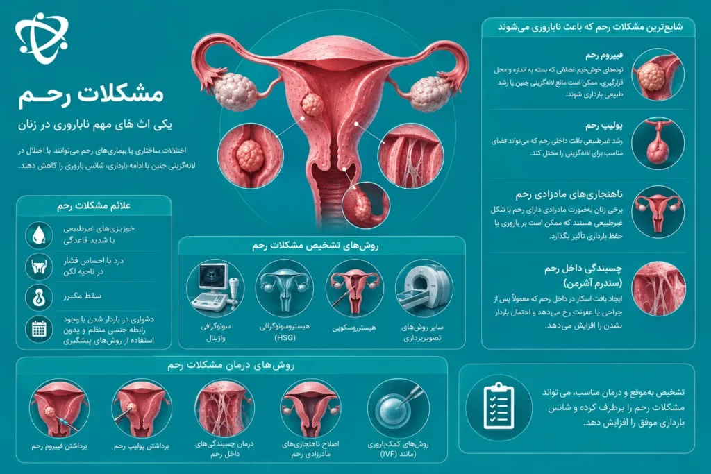تصویر پزشکی مشکلات رحم شامل فیبروم، پولیپ، ناهنجاری‌های مادرزادی و چسبندگی داخل رحم که از مهم‌ترین علت‌های ناباروری در زنان هستند