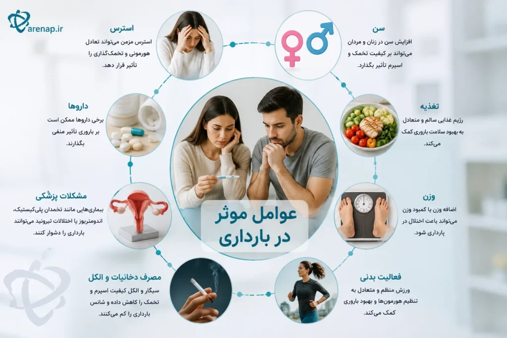 درمان ناباروری عوامل موثر در بارداری
