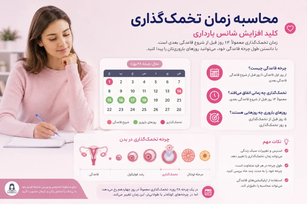 محاسبه زمان تخمک‌ گذاری چگونه است ؟- آرناپ