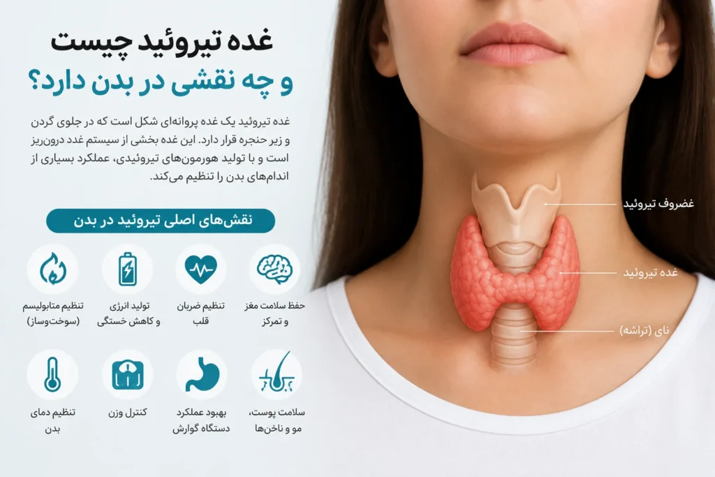 تیروئید چیست-ارناپ