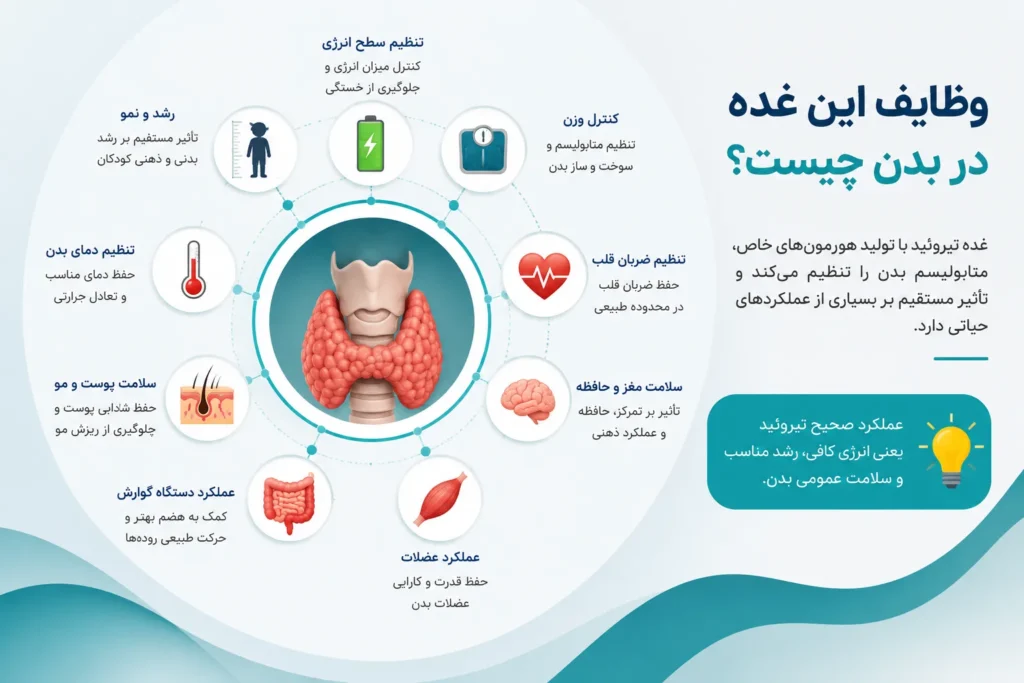 وظایف این غده در بدن چیست-ارناپ