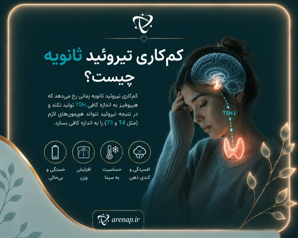 کم‌کاری تیروئید ثانویه چیست-آرناپ