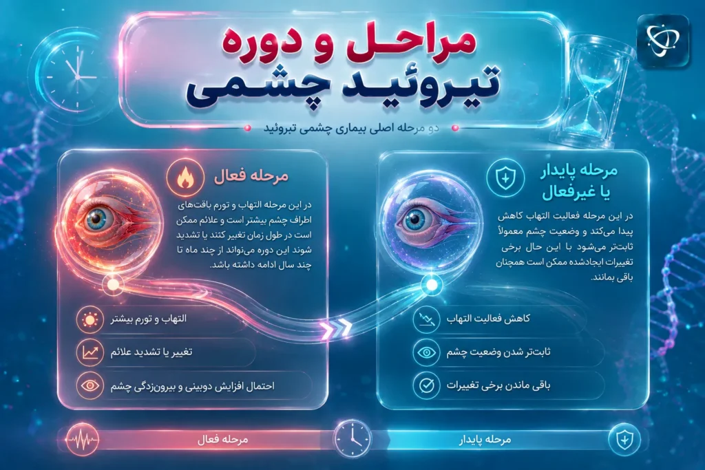 نمایش دو مرحله فعال و پایدار تیروئید چشمی- آرناپ