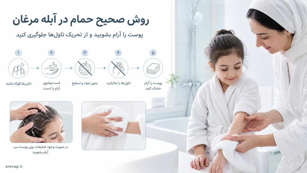 روش صحیح حمام در ابله مرغان برای شست‌وشوی آرام و جلوگیری از تحریک پوست