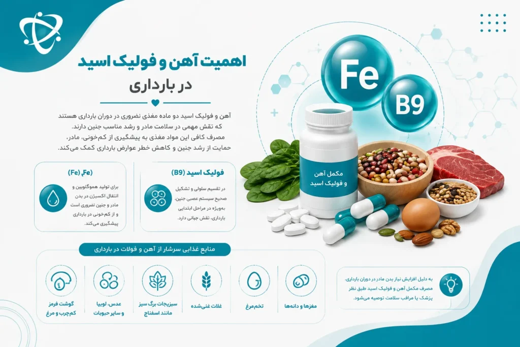 آشنایی با منابع آهن و فولات در تغذیه دوران بارداری برای حفظ سلامت مادر و رشد طبیعی جنین.
