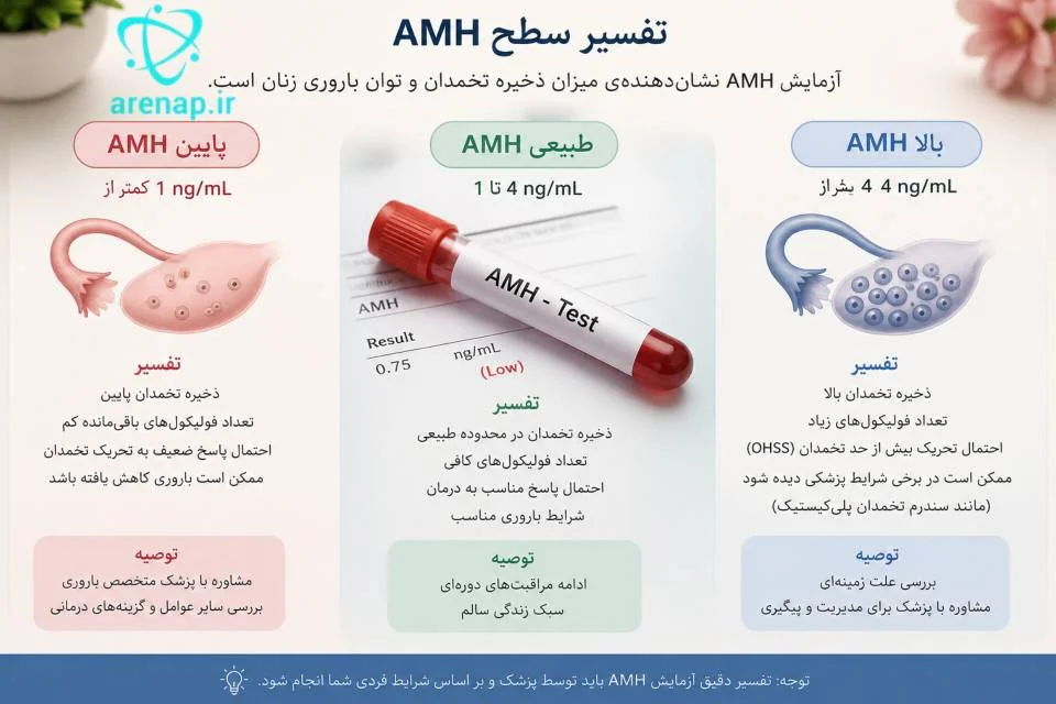 تصویر آموزشی تفسیر سطح AMH و ارتباط آن با ذخیره تخمدان - ارناپ