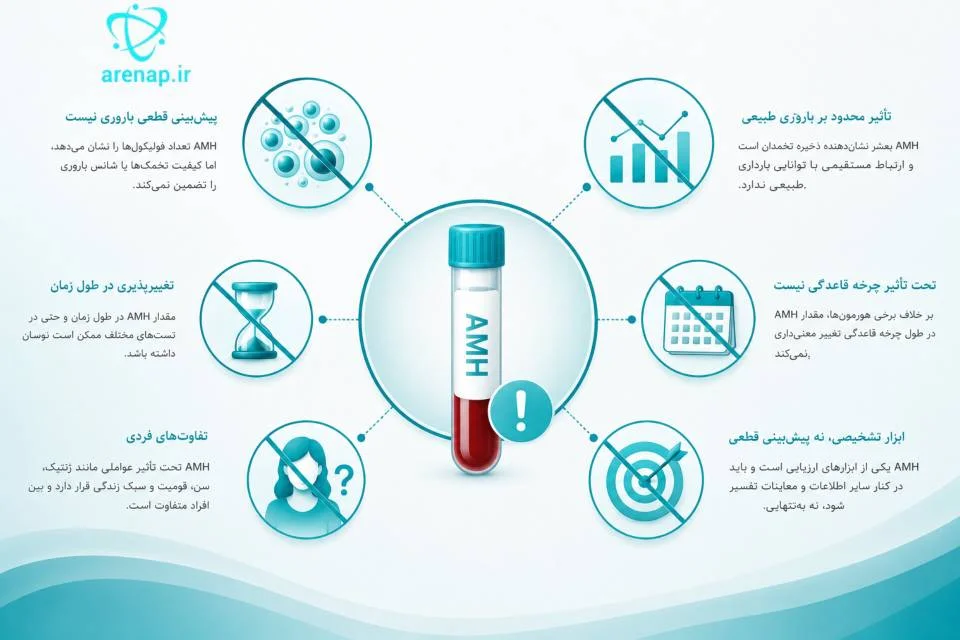تصویر نمادین محدودیت‌های آزمایش AMH در ارزیابی ذخیره تخمدان و باروری - ارناپ