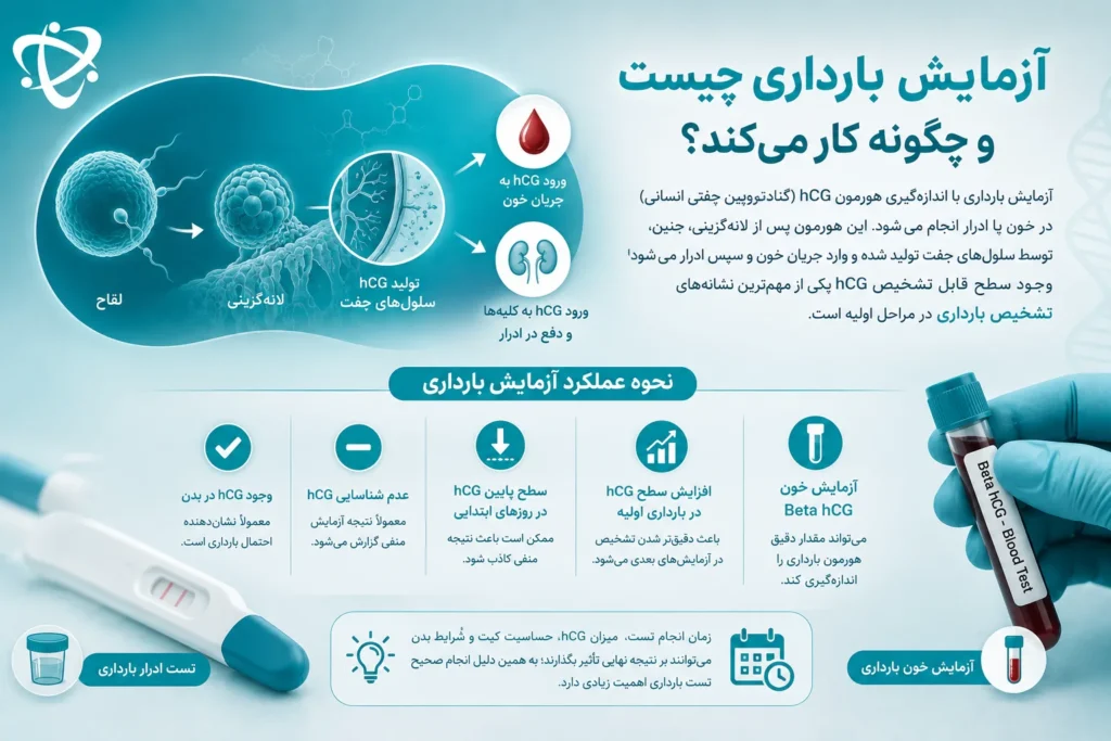 آزمایش بارداری چیست و چگونه کار می‌کند؟ راهنمای تشخیص بارداری با هورمون hCG، آزمایش خون Beta hCG و تست ادرار بارداری.