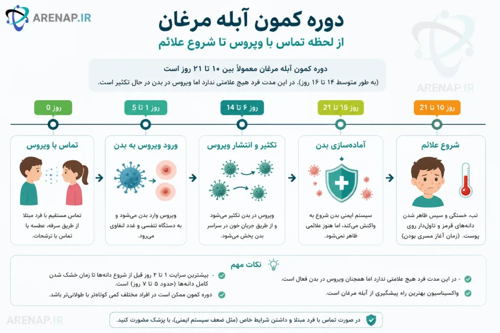 مدت‌زمان دوره کمون-arenap