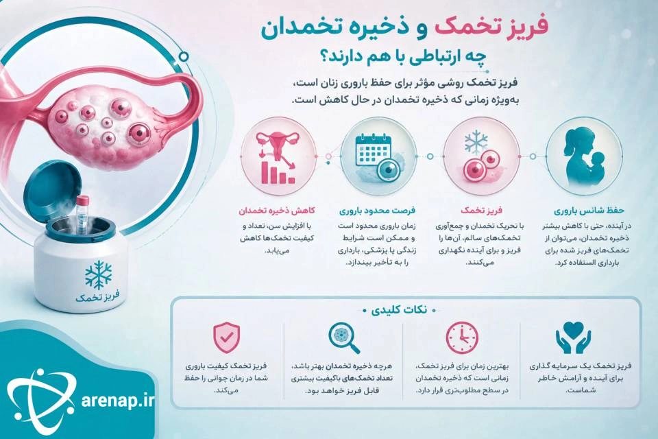 فریز تخمک و ذخیره‌ تخمدان چه ارتباطی دارند؟- ارناپ