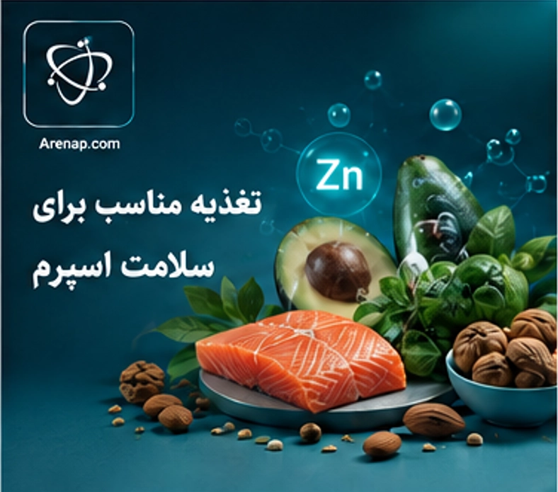 مواد غذایی مفید برای سلامت اسپرم - ارناپ