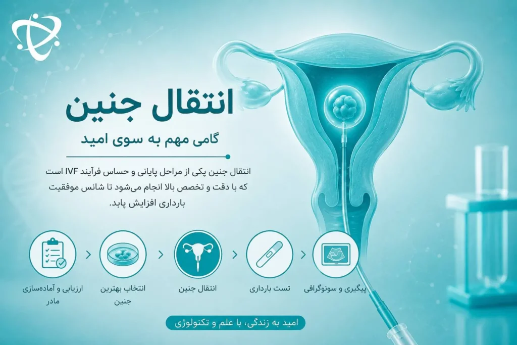 هزینه انتقال جنین در درمان ناباروری-ارناپ