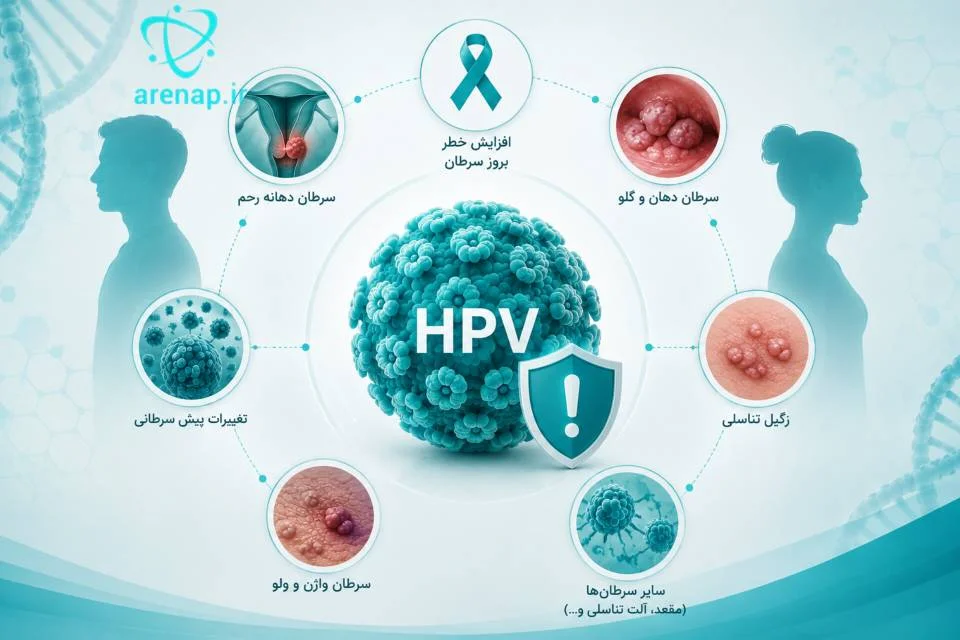 عوارض و خطرات احتمالی عفونت ویروس HPV - ارناپ