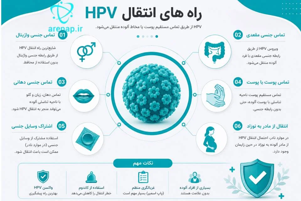  راه‌های انتقال ویروس HPV - ارناپ