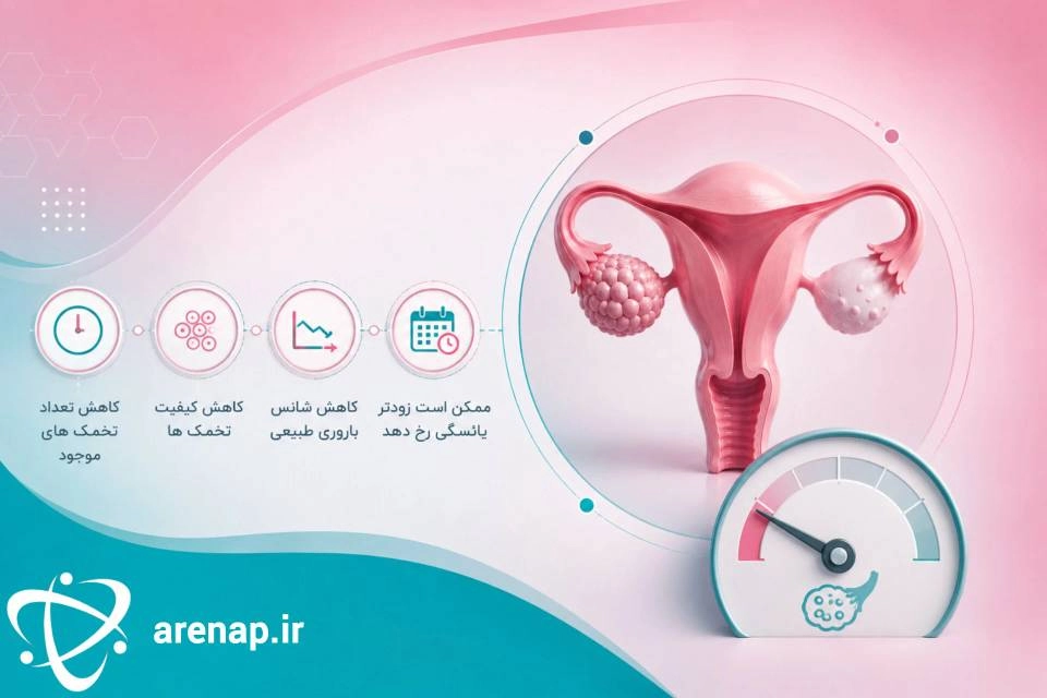 ذخیره  تخمدان پایین به چه معناست؟- ارناپ