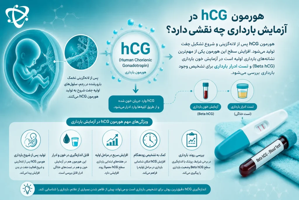 هورمون hCG در آزمایش بارداری؛ نحوه تولید، افزایش سطح hCG و تشخیص بارداری با آزمایش خون و ادرار