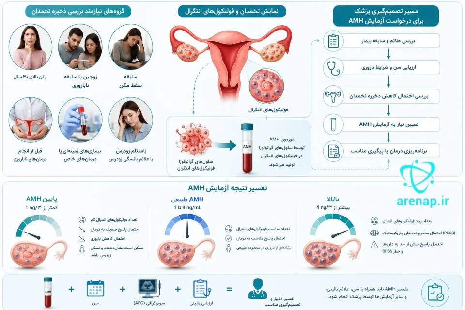نمایش تخمدان، فولیکول‌های آنترال و روند تصمیم‌گیری پزشک برای درخواست آزمایش AMH - ارناپ