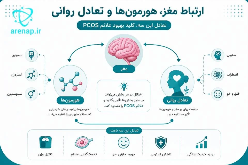 اینفوگرافیک ارتباط مغز، هورمون‌ها و سلامت روان در سندروم تخمدان پلی‌کیستیک-ارناپ