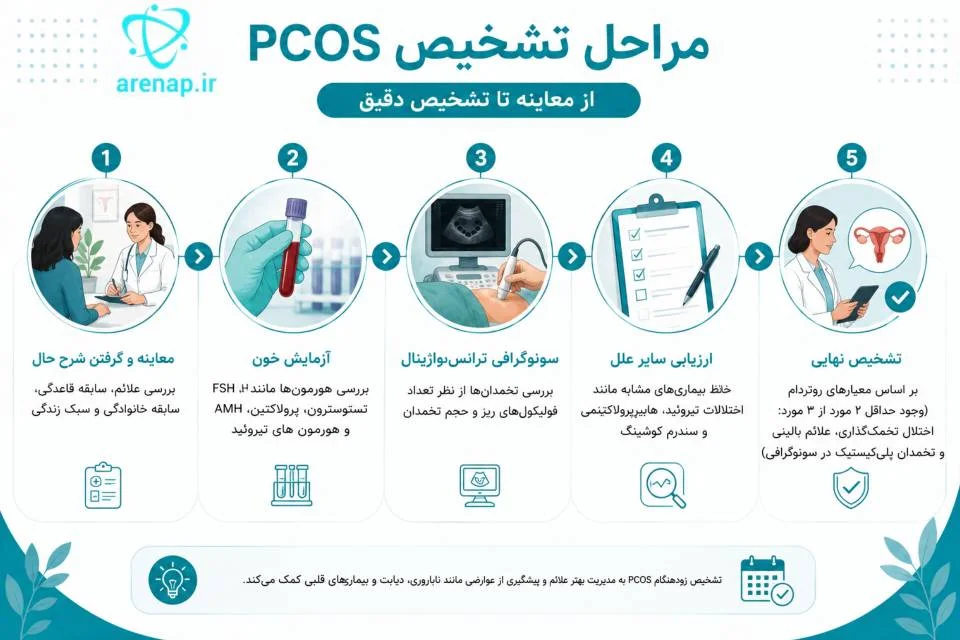 اینفوگرافیک مراحل گام‌به‌گام تشخیص سندروم تخمدان پلی‌کیستیک شامل معاینه، آزمایش خون و سونوگرافی-ارناپ