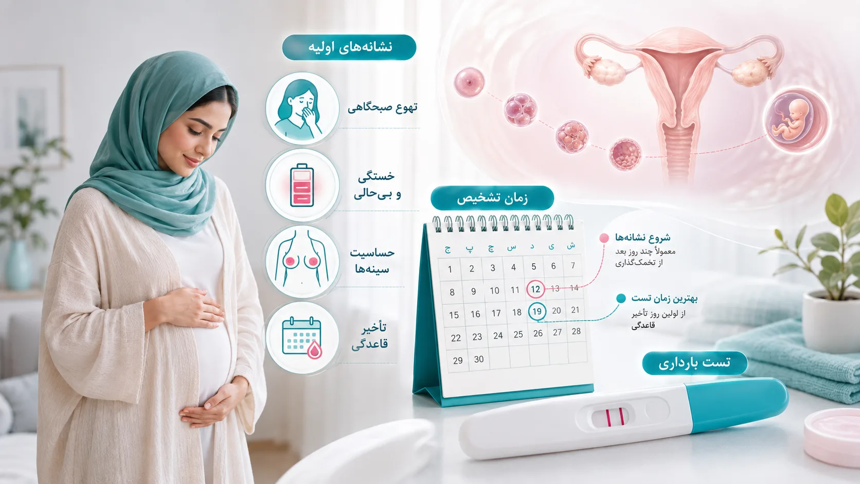 علائم بارداری - آرناپ