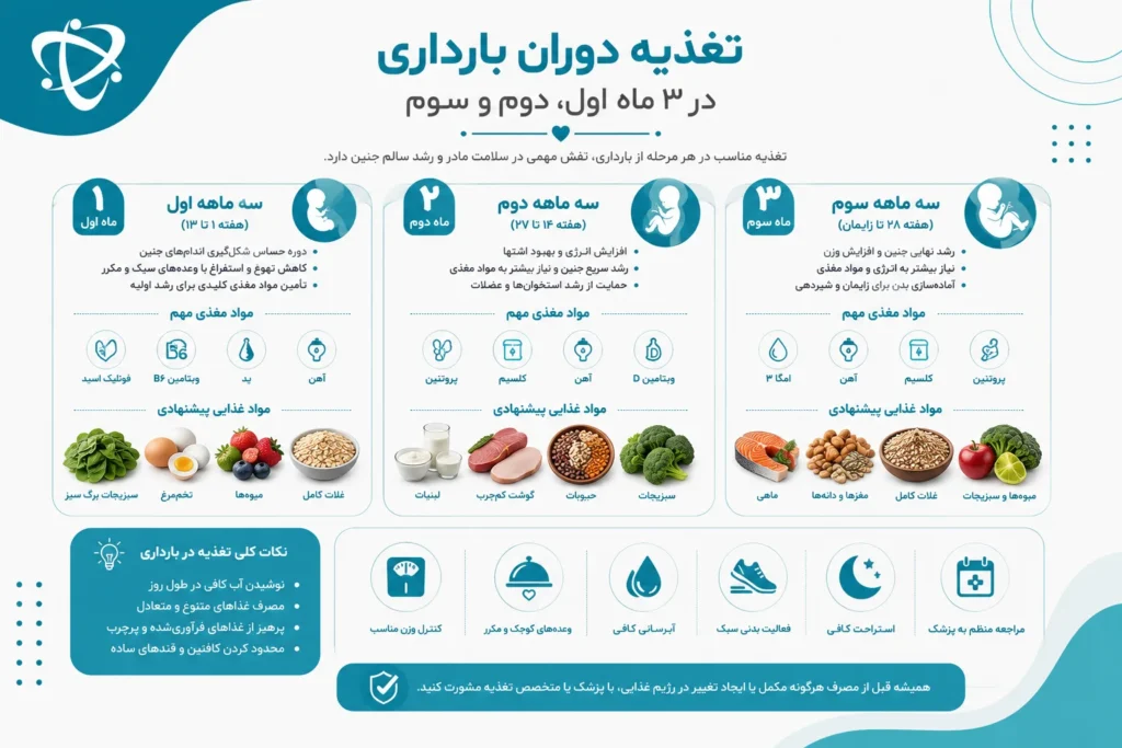 راهنمای تغذیه دوران بارداری در ۳ ماه اول، دوم و سوم با معرفی مواد مغذی مورد نیاز هر سهماهه.