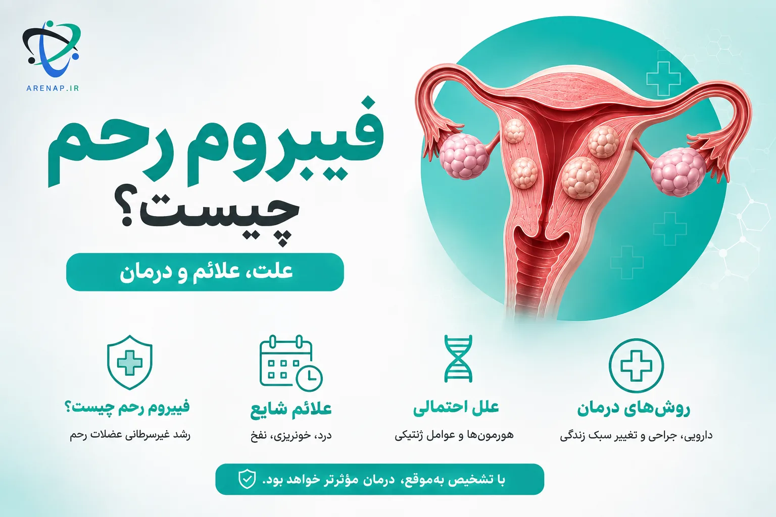 فیبروم رحم چیست؟