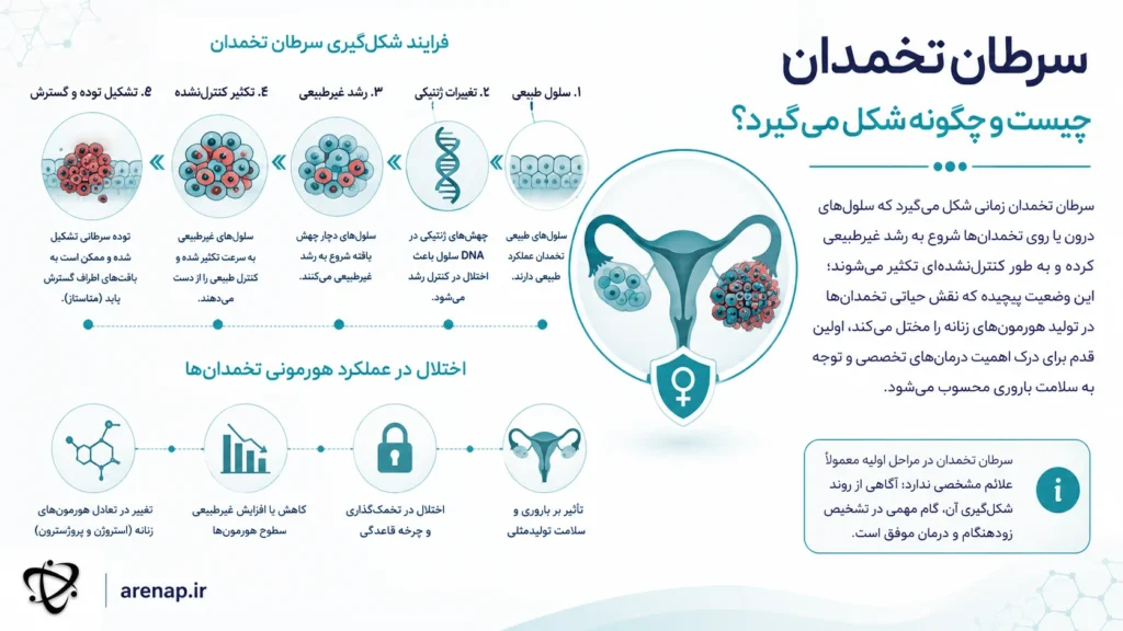 سرطان تخمدان چیست و مکانیسم شکل‌گیری آن - arenap
