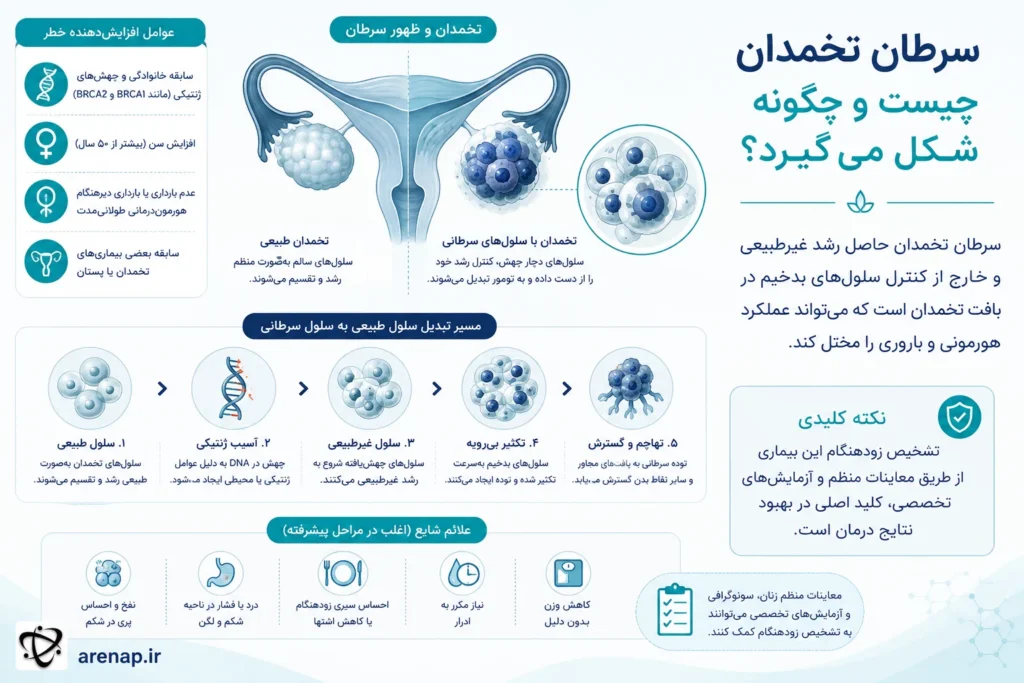 سرطان تخمدان چیست و شکل‌گیری آن - arenap
