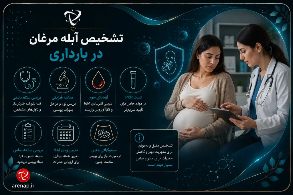 تشخیص آبله مرغان در بارداری؛ معاینه، آزمایش آنتی‌بادی و PCR
