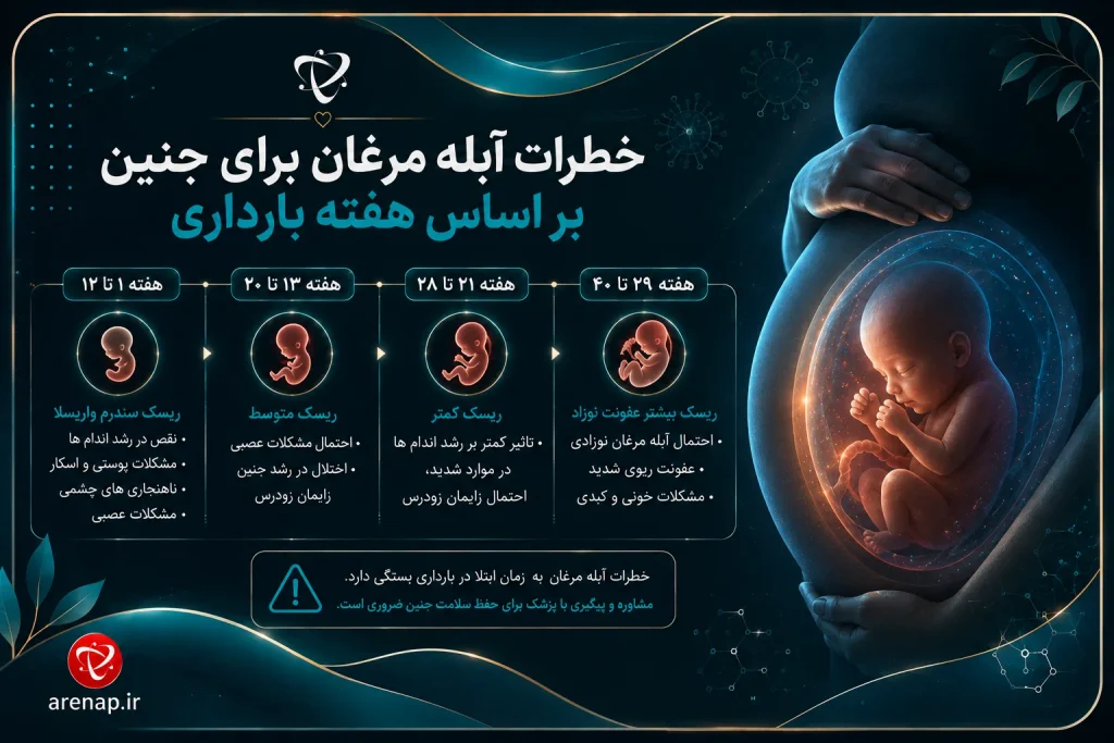 خطرات آبله مرغان در بارداری برای جنین بر اساس هفته بارداری