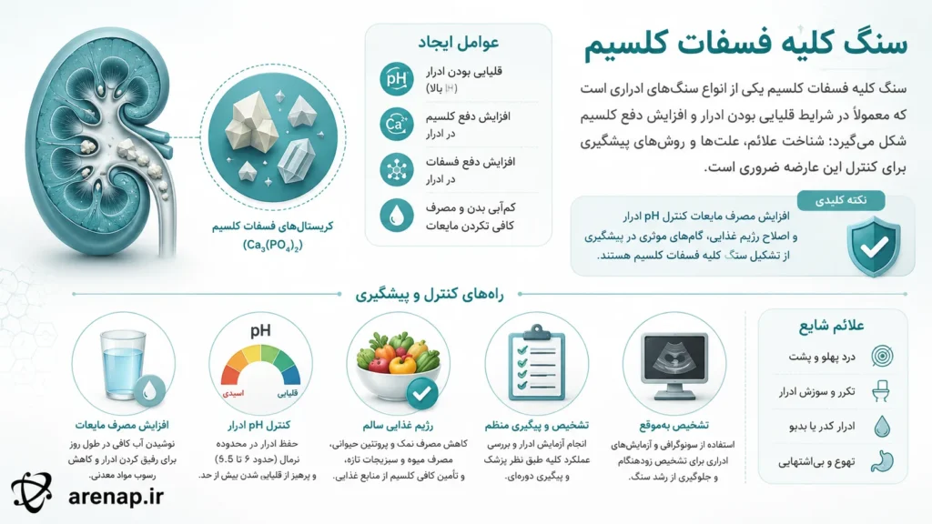 سنگ کلیه فسفات کلسیم - arenap