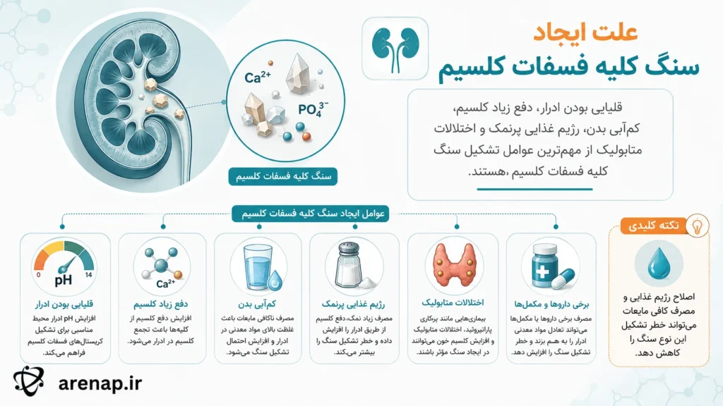 علت ایجاد سنگ کلیه فسفات کلسیم