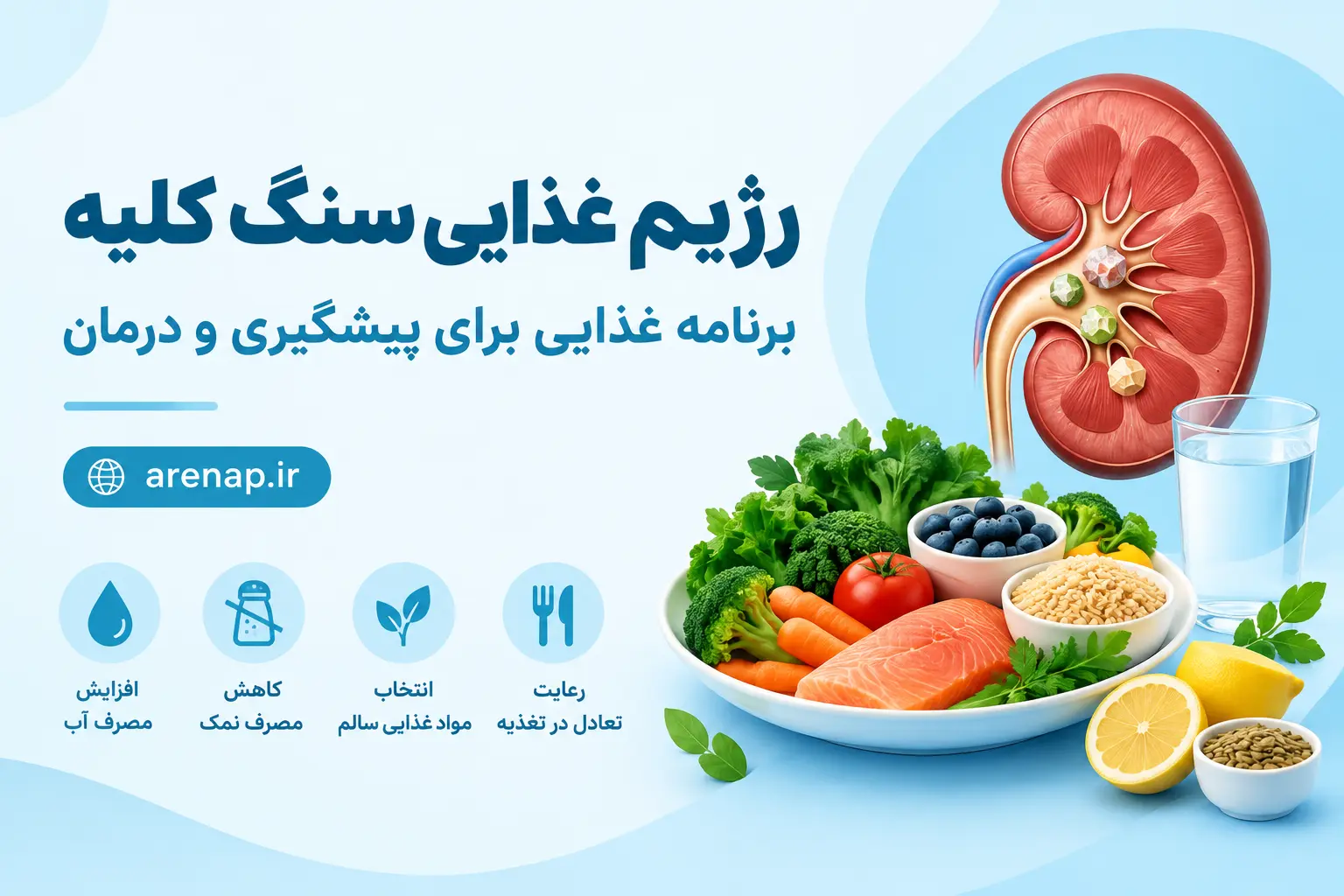 رژیم غذایی سنگ کلیه - آرناپ