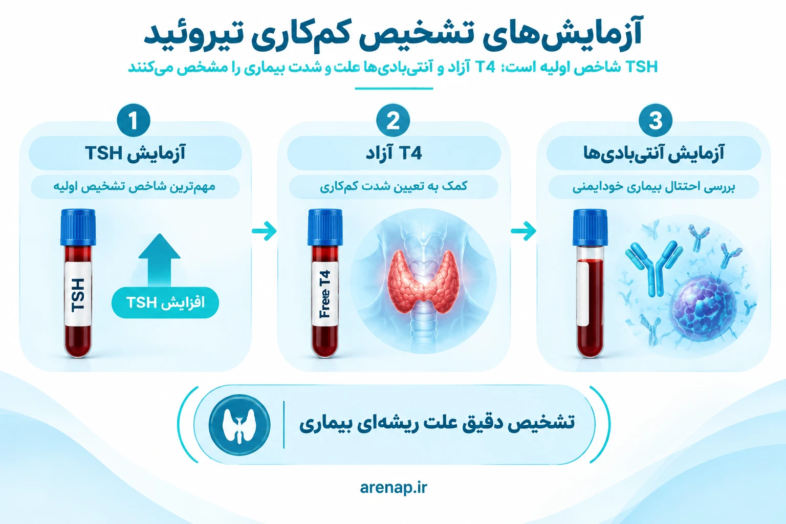 آزمایش‌های تشخیص کم‌کاری تیروئید؛ TSH، T4 آزاد و آنتی‌بادی‌ها - آرناپ