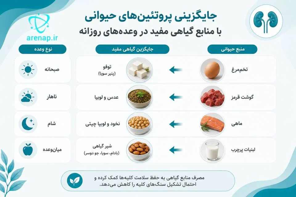 مقایسه منابع پروتئین حیوانی و گیاهی برای مدیریت غذایی سنگ کلیه پروتئینی - ارناپ