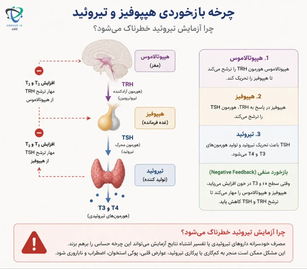 چرا آزمایش تیروئید خطرناک می‌شود-arenap