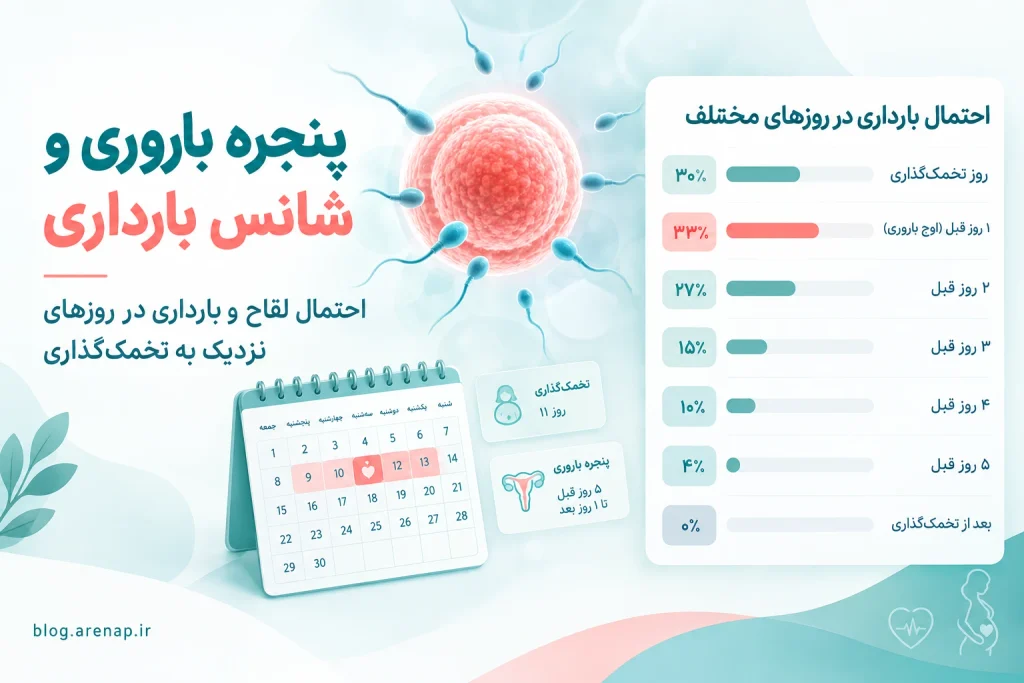 پنجره باروری و احتمال بارداری در روزهای نزدیک به تخمک گذاری - آرناپ پنجره باروری و احتمال بارداری در روزهای نزدیک به تخمک گذاری - آرناپ