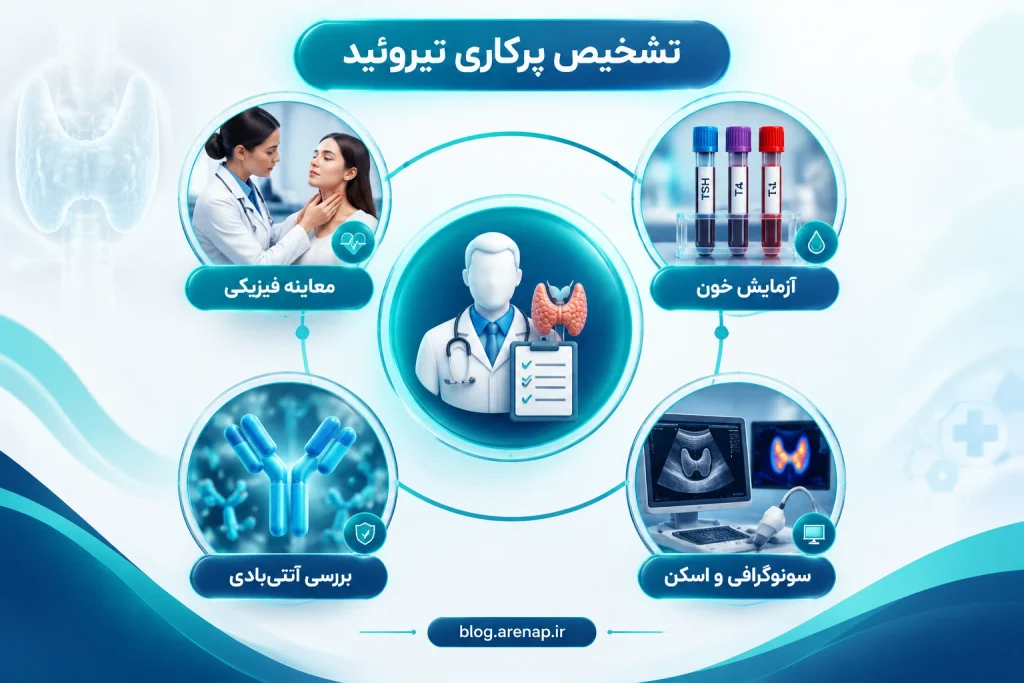 مراحل تشخیص پرکاری تیروئید - آرناپ