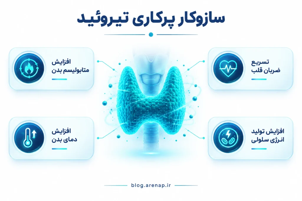 سازوکار پرکاری تیروئید - آرناپ