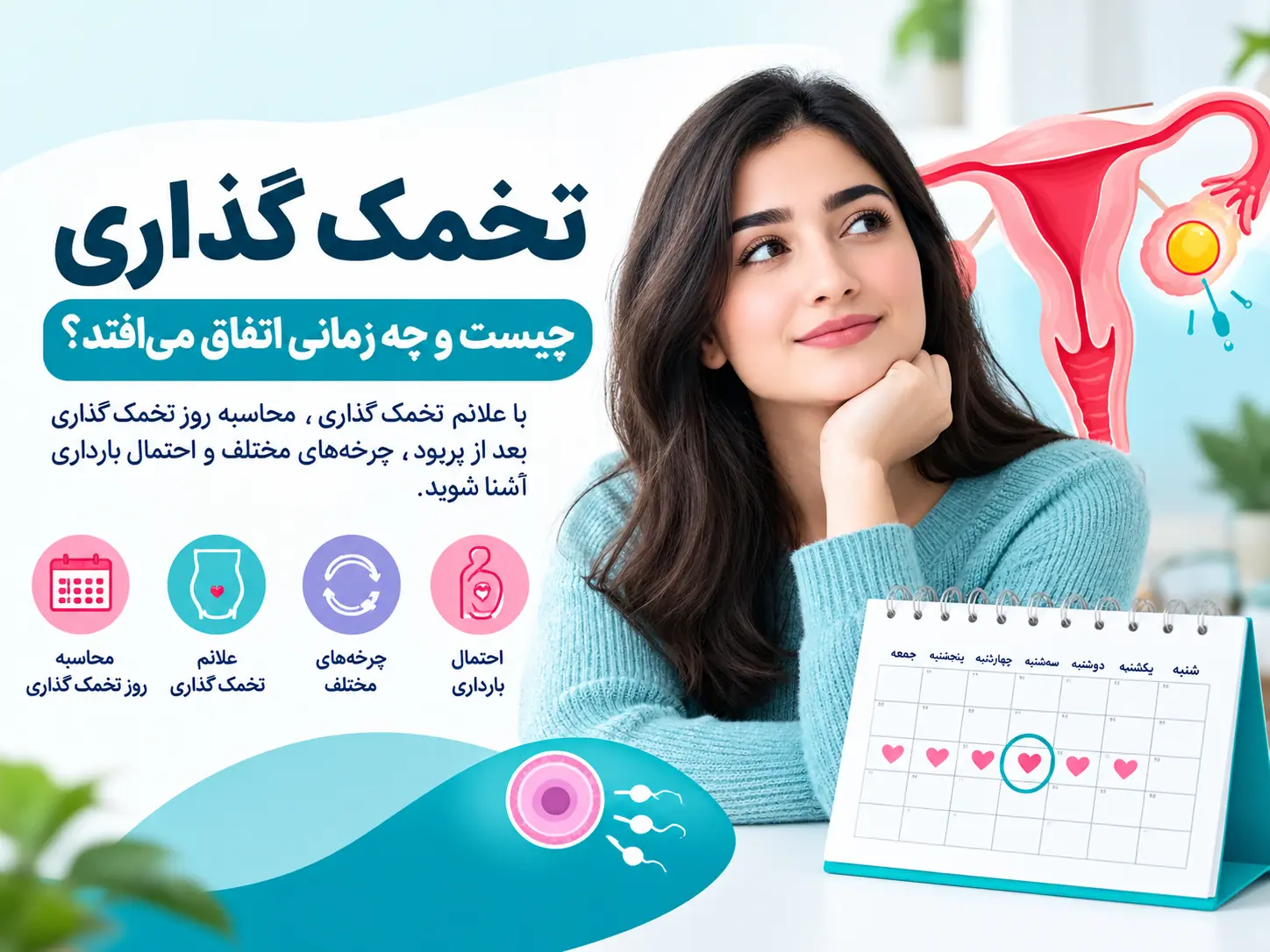 تخمک گذاری چیست و زمان آن بعد از پریود - آرناپ