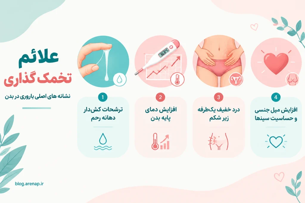علائم تخمک گذاری شامل ترشحات کشدار، درد زیر شکم و افزایش دمای بدن - آرناپ علائم تخمک گذاری شامل ترشحات کشدار، درد زیر شکم و افزایش دمای بدن - آرناپ